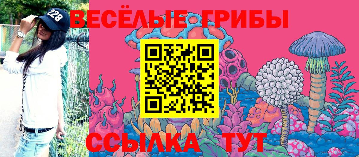 магазин  наркотиков  Вход с VPN  Кыштым  Псилоцибиновые грибы ЛСД 