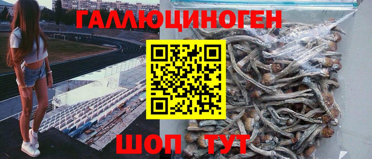 Псилоцибиновые грибы GOLDEN TEACHER Кыштым
